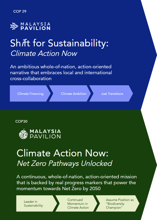 About COP 30